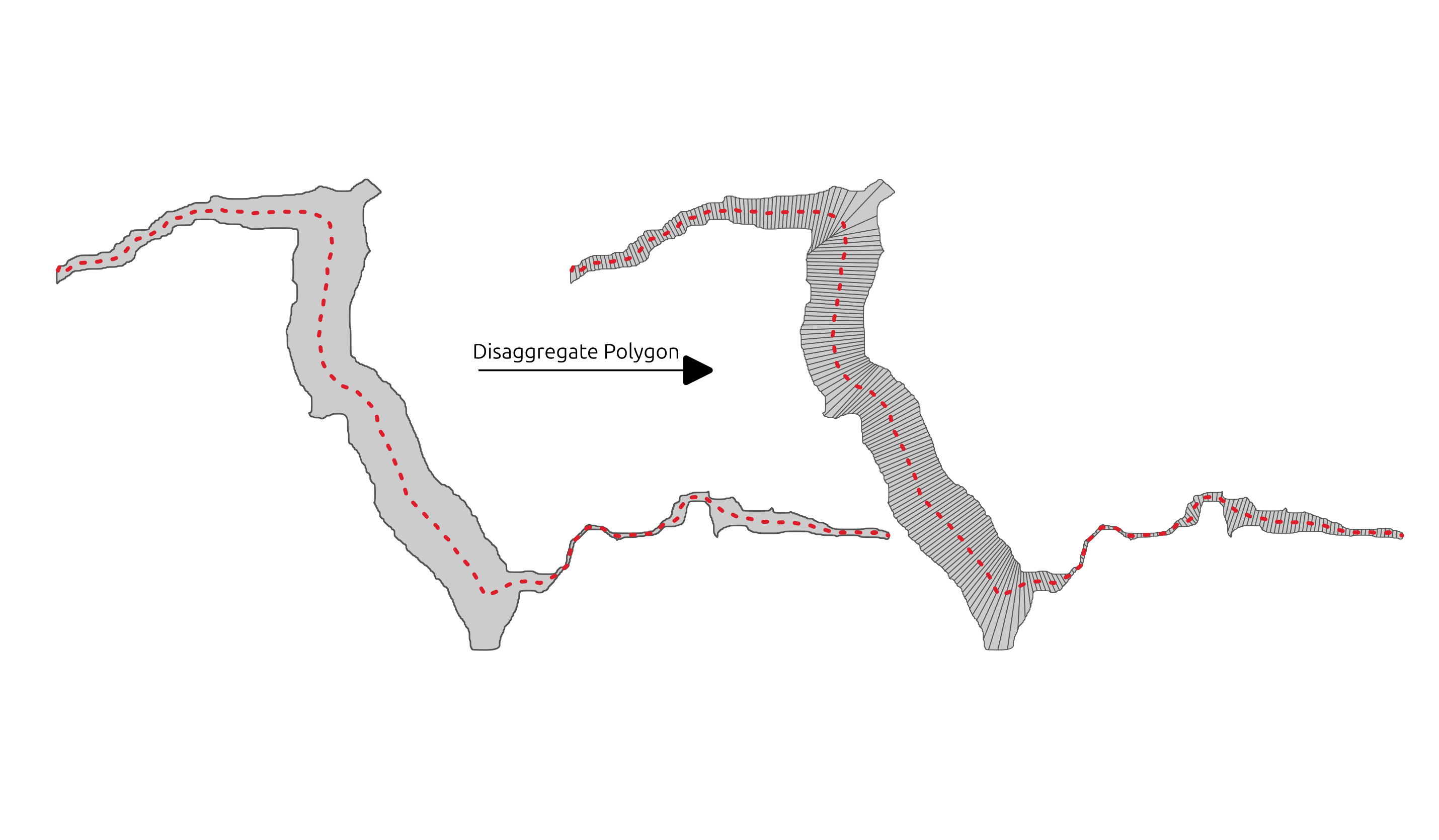 Disaggregate Polygon